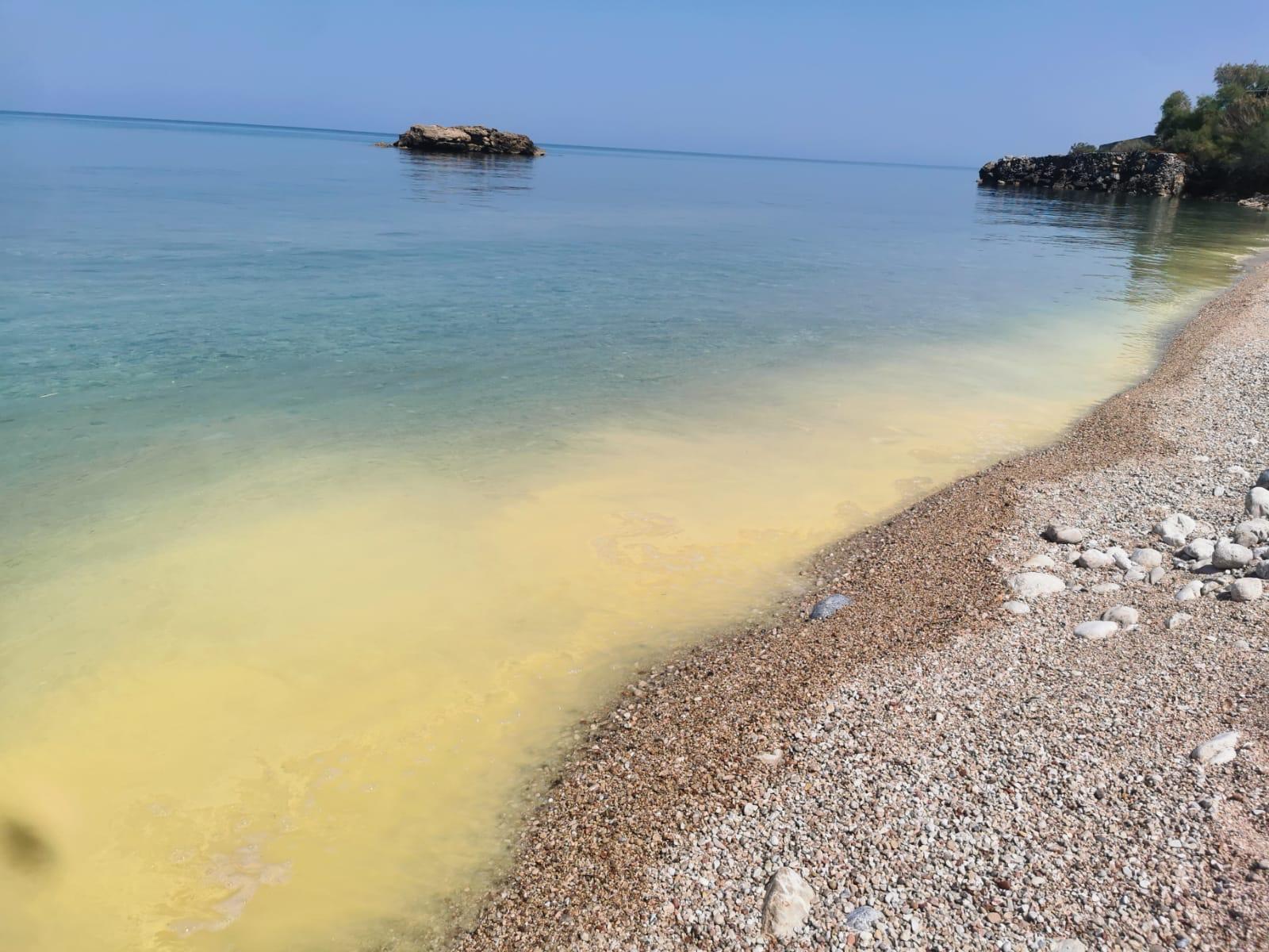 İskele ve Girne kıyılarında görülen kirlilikle ilgili açıklama