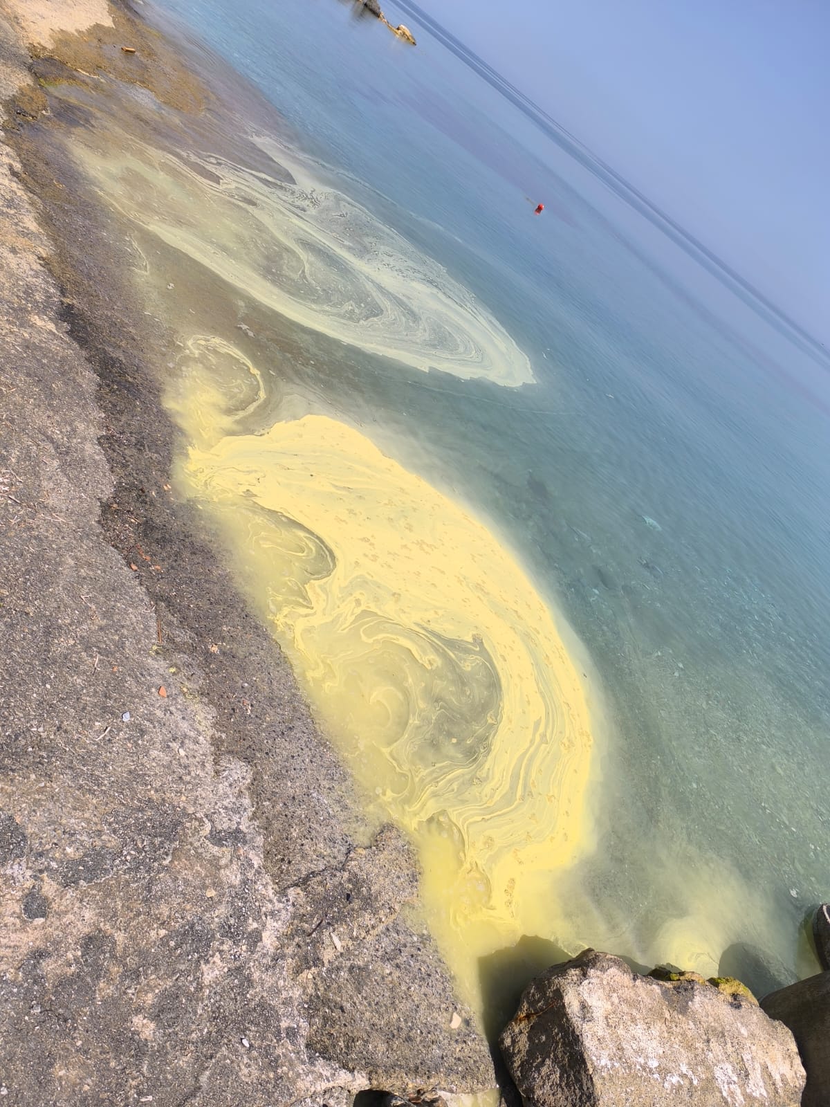 İskele ve Girne kıyılarında görülen kirlilikle ilgili ilk rapor